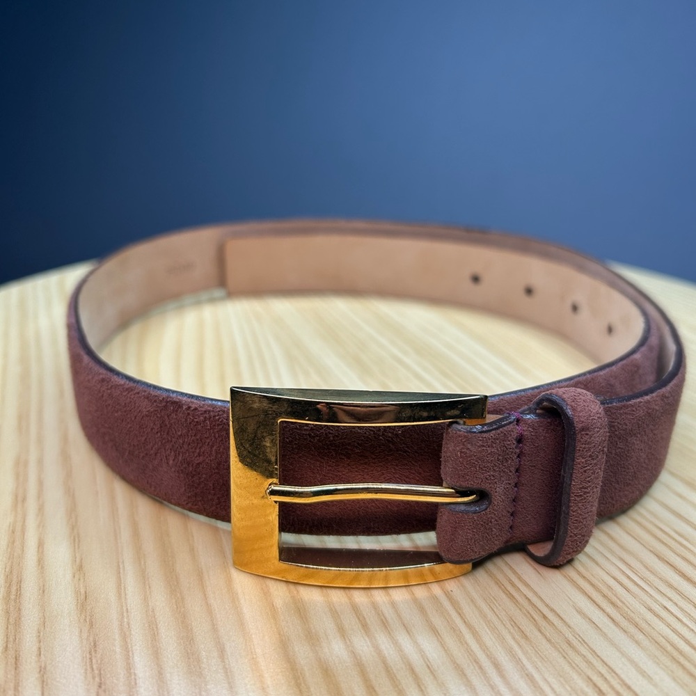 Worth Brown Suede Belt with Gold Toned Buckle